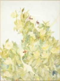 запах женщины