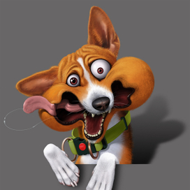 Винилография на капот - басенджи