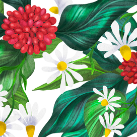 Женьшень и ромашка