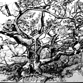 Дубок. Крым.