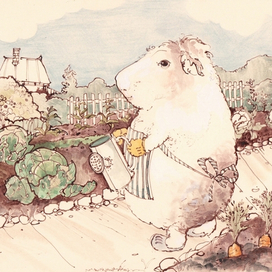 Капуста капусте рознь