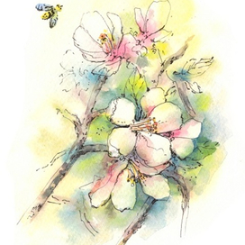 Дыхание весны