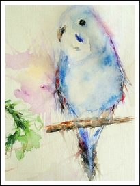 Птичий переполох