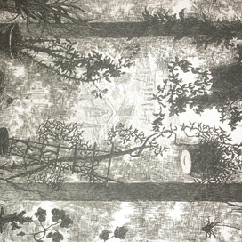 Цветы на окне