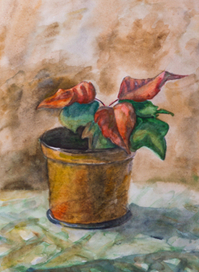 рождественская звезда