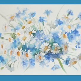 Ромашки и васильки