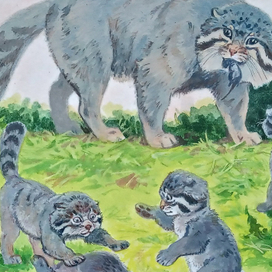 Кое-какие иллюстрации к книге о диких котах
