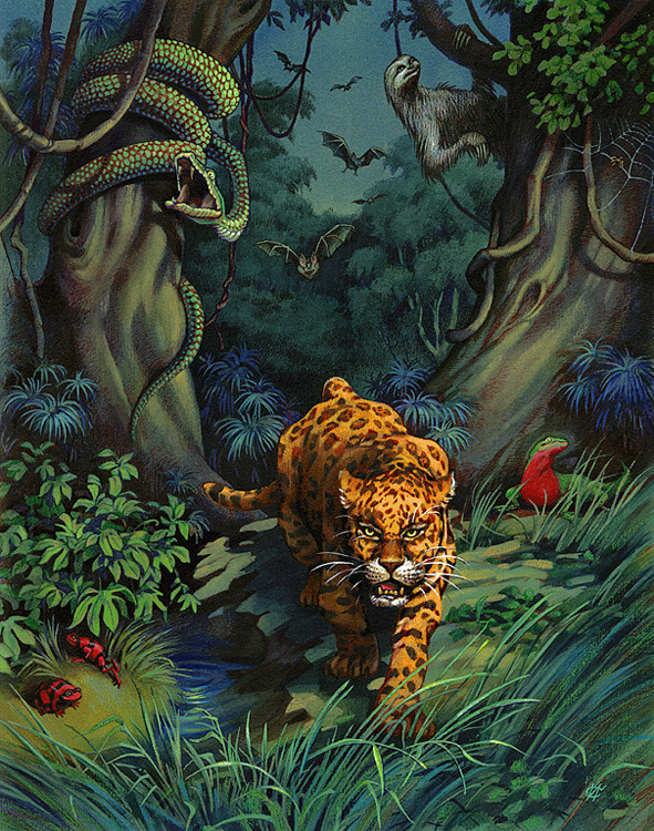 Ужасы джунглей