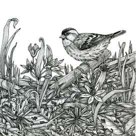 Весенний лес