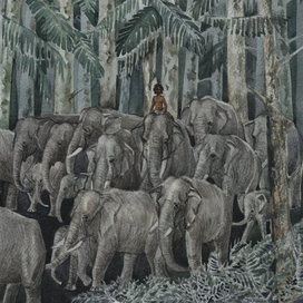 "Маленький Тумаи. Ночь. Дикие слоны"