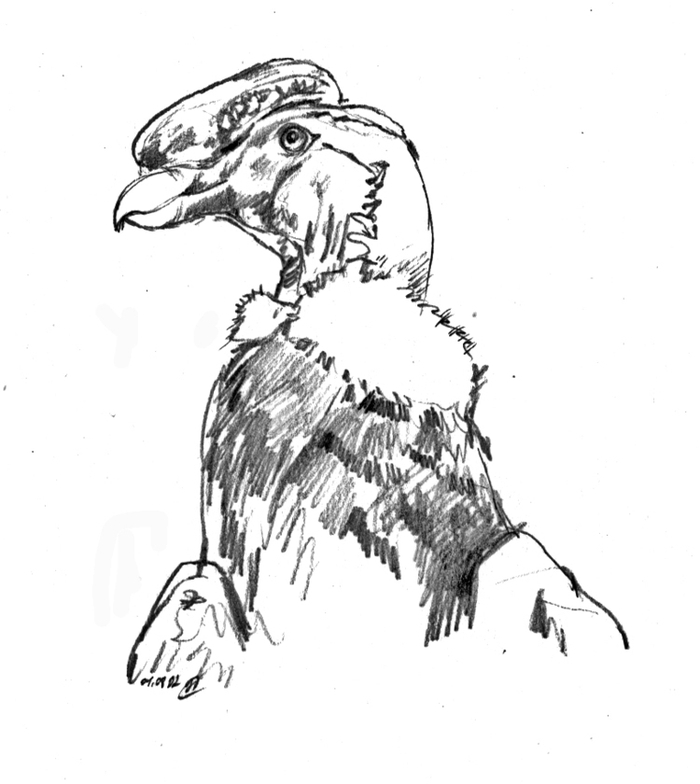 День грифов. Кондор