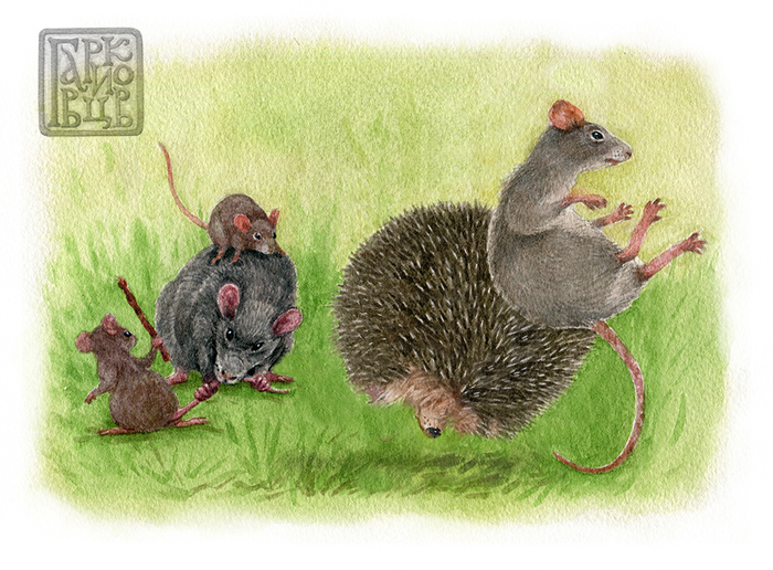 Сражение с крысами