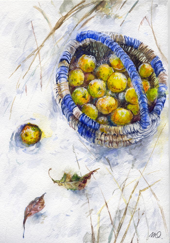 Яблоки на снегу 