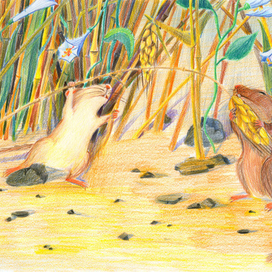 полевые мыши