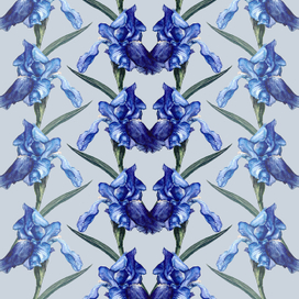 Паттерн ирисы