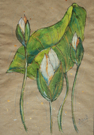 Лотосы. Возрождение.