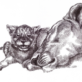 как у людей