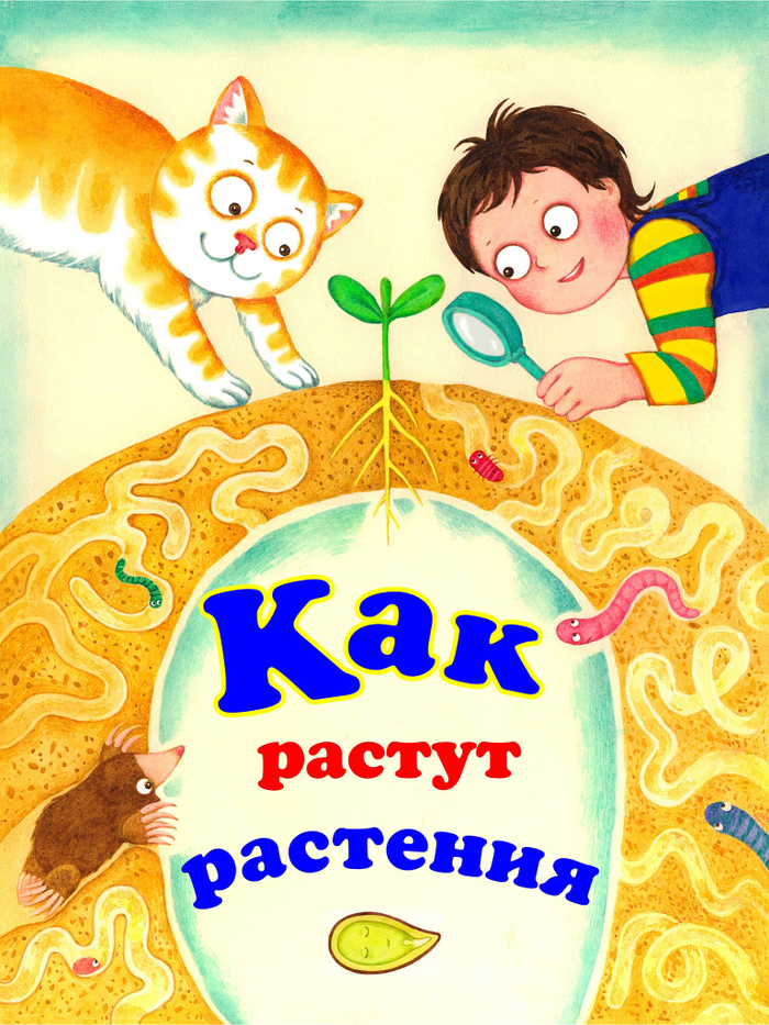 Как растут растения