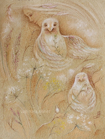 Летние травы