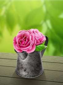 летние розы