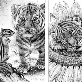 Ю. Коваль. Сказка про тигрёнка.