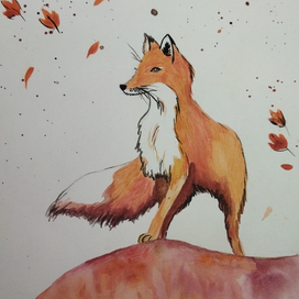 Лисичка акварель