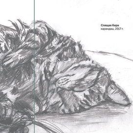 Спящая Кира