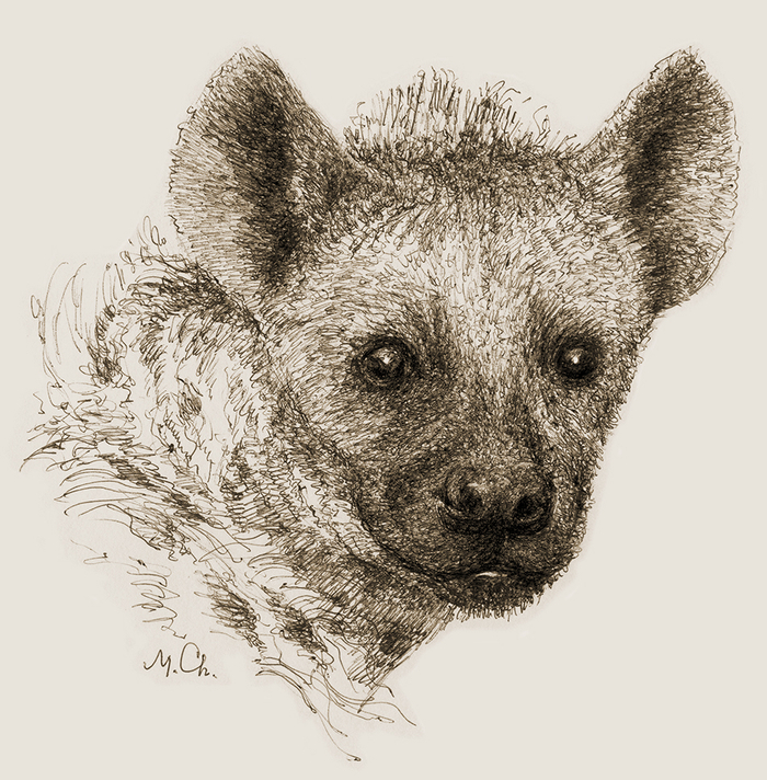 Хитрая и коварная