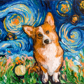 Звездная корги