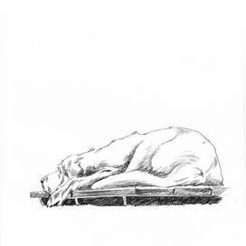 грустный пёс 1