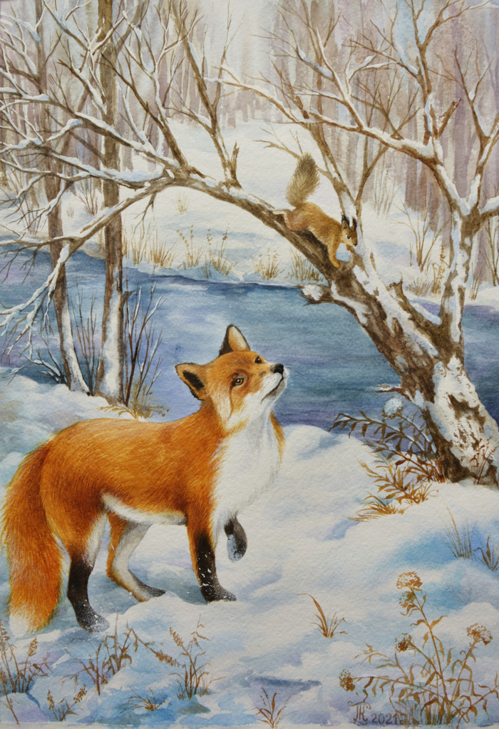 Лис и белка 