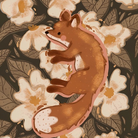 Весенний Лис