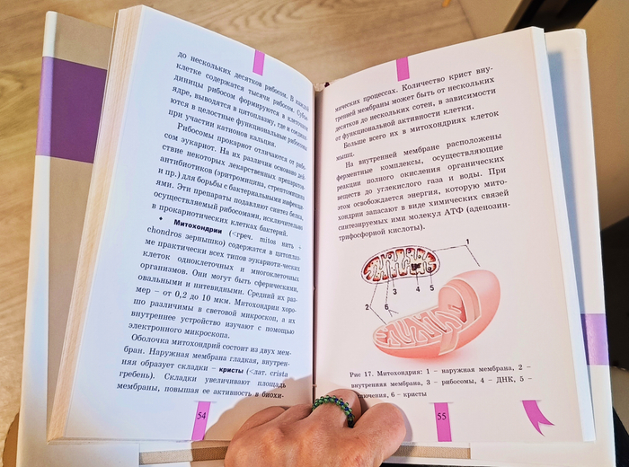 Учебник Биологии 10-11 класс. 