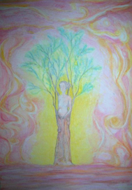 дерево жизни