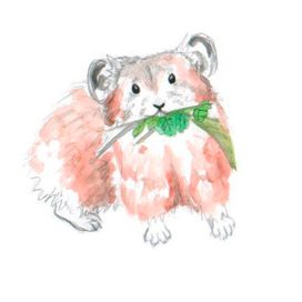 Степная пищуха