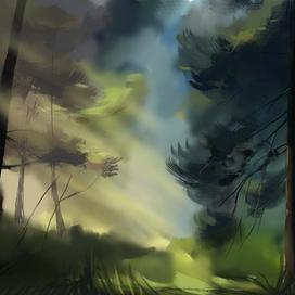 Романтика леса