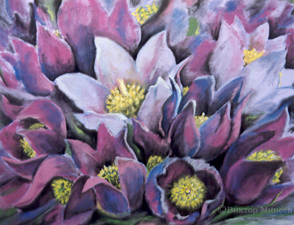 Подснежники