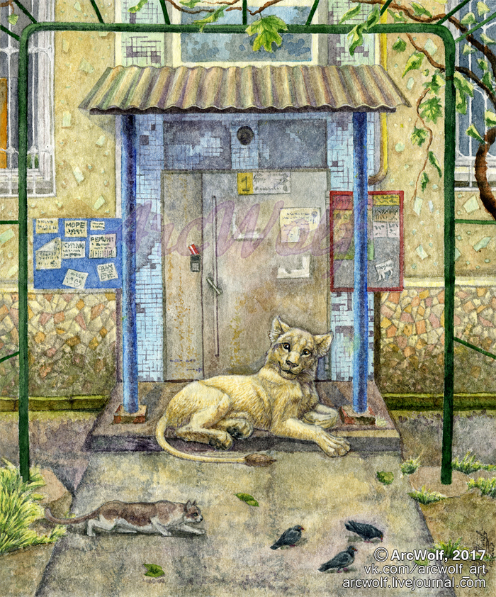 "В ритме хрущевских подъездов и солнечных львят"