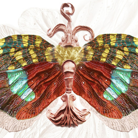 бабочка бражница:)