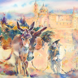 Италия.Урбино.Ослики