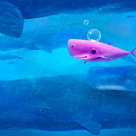 "Влюбленный кит"