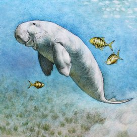 Дюгонь Матрёна Петровна