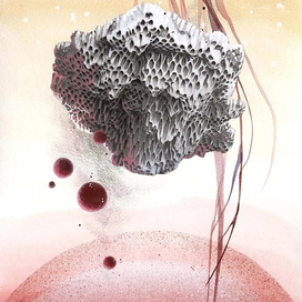 Микрокосмос