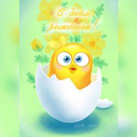 цыпленок