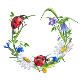 Wildflowers wreath with ladybugs