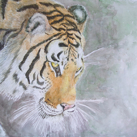 Тигр акварель