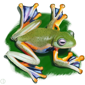 Иллюстрация для книги Брема «Жизнь животных» «Лягушка»