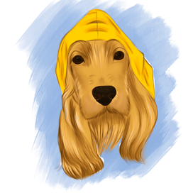 Осенняя собака