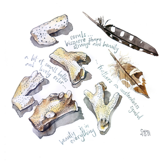 Кораллы и пёрышки