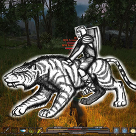 Арт на игру Gothic III